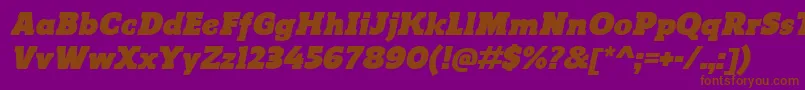 ReganslabUltraitalic Font – Brown Fonts on Purple Background