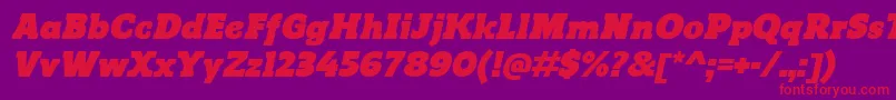 ReganslabUltraitalic Font – Red Fonts on Purple Background