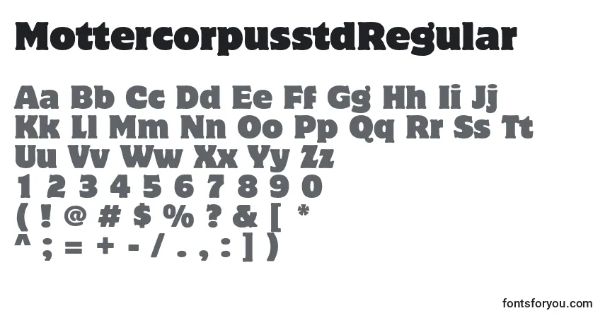 Czcionka MottercorpusstdRegular – alfabet, cyfry, specjalne znaki