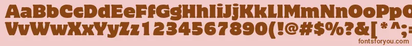 MottercorpusstdRegular Font – Brown Fonts on Pink Background