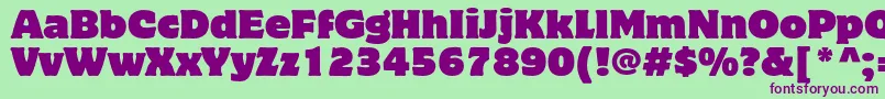 MottercorpusstdRegular-Schriftart – Violette Schriften auf grünem Hintergrund