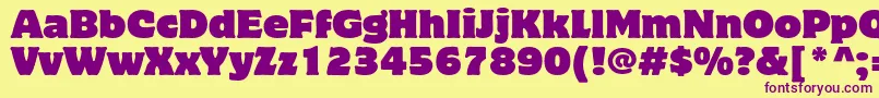 MottercorpusstdRegular Font – Purple Fonts on Yellow Background