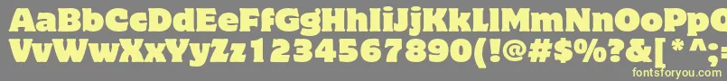 MottercorpusstdRegular Font – Yellow Fonts on Gray Background