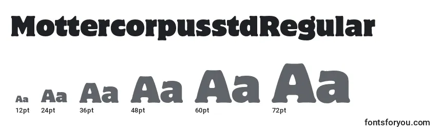 MottercorpusstdRegular Font Sizes