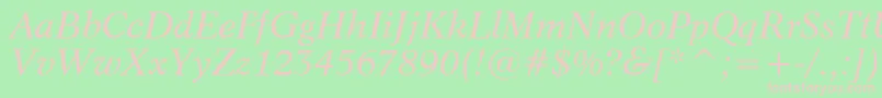 Dutch809ItalicBt Font – Pink Fonts on Green Background