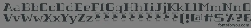 TabaibaWildPersonalUse Font – Black Fonts on Gray Background