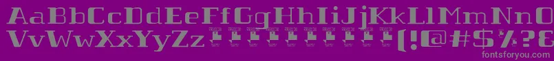 TabaibaWildPersonalUse Font – Gray Fonts on Purple Background