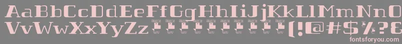 TabaibaWildPersonalUse Font – Pink Fonts on Gray Background