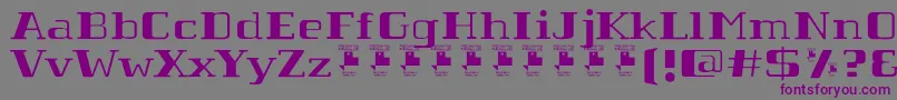 フォントTabaibaWildPersonalUse – 紫色のフォント、灰色の背景