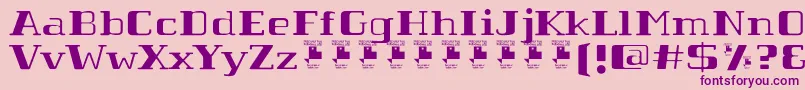 TabaibaWildPersonalUse Font – Purple Fonts on Pink Background