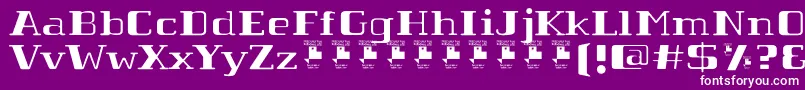 Шрифт TabaibaWildPersonalUse – белые шрифты на фиолетовом фоне