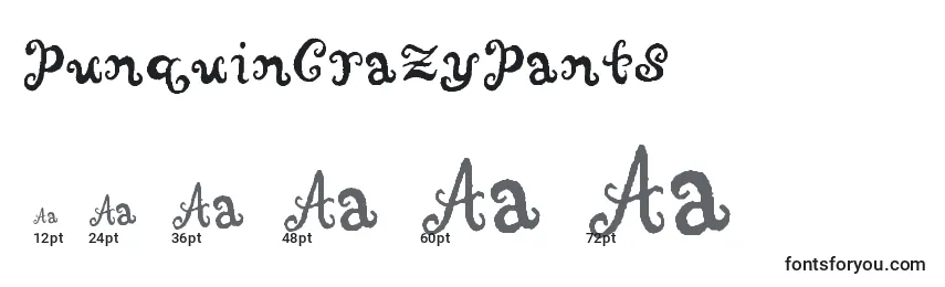 PunquinCrazyPants Font Sizes