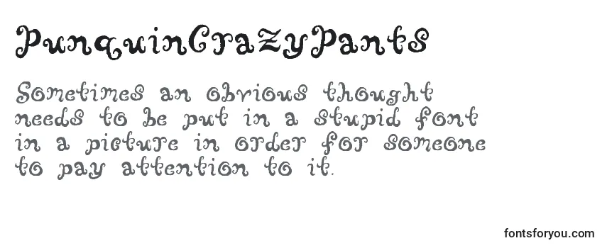 PunquinCrazyPants Font