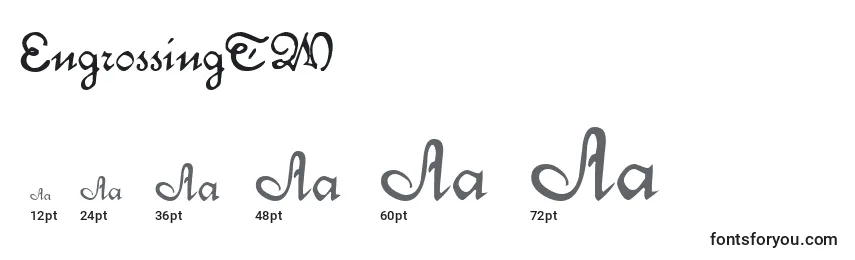 EngrossingTM Font Sizes