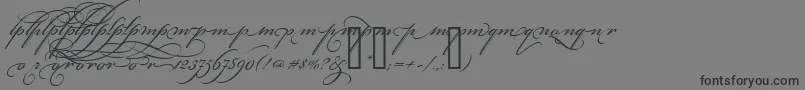 フォントBickhamScriptAltThree – 黒い文字の灰色の背景