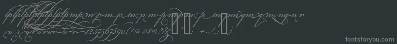 BickhamScriptAltThree-Schriftart – Graue Schriften auf schwarzem Hintergrund