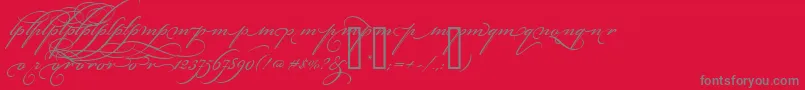 BickhamScriptAltThree-Schriftart – Graue Schriften auf rotem Hintergrund