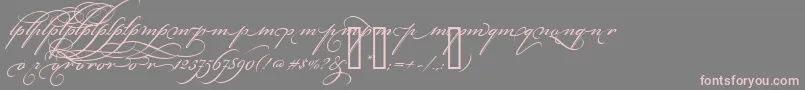 BickhamScriptAltThree Font – Pink Fonts on Gray Background