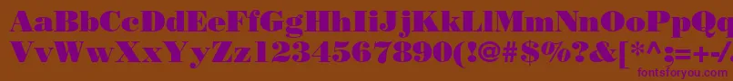 BodonistdPoster Font – Purple Fonts on Brown Background