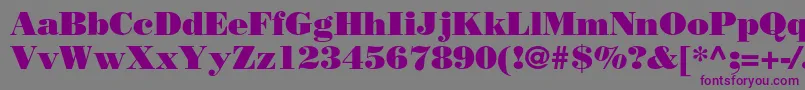 フォントBodonistdPoster – 紫色のフォント、灰色の背景