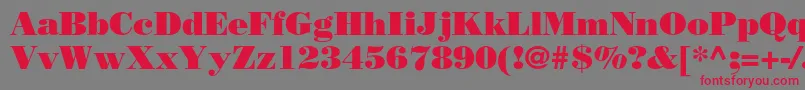 BodonistdPoster Font – Red Fonts on Gray Background