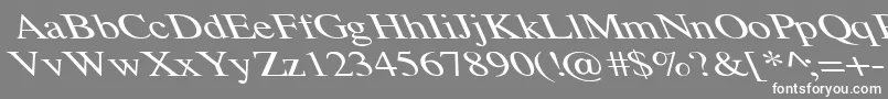 TempoFontWdExtremeLefti Font – White Fonts on Gray Background