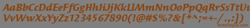 SyndorItcBoldItalic Font – Brown Fonts on Gray Background