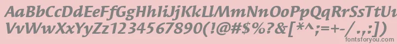 フォントSyndorItcBoldItalic – ピンクの背景に灰色の文字