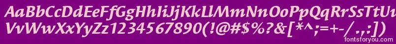 SyndorItcBoldItalic Font – Pink Fonts on Purple Background