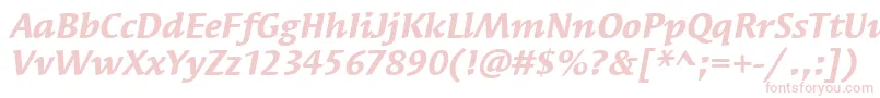 SyndorItcBoldItalic-Schriftart – Rosa Schriften auf weißem Hintergrund
