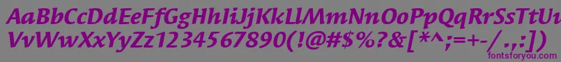 SyndorItcBoldItalic Font – Purple Fonts on Gray Background