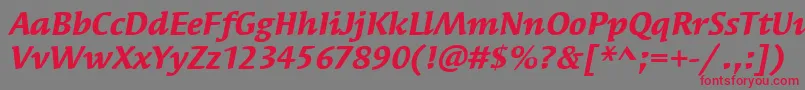 フォントSyndorItcBoldItalic – 赤い文字の灰色の背景
