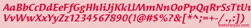 SyndorItcBoldItalic Font – Red Fonts on Pink Background