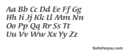 SyndorItcBoldItalic-fontti