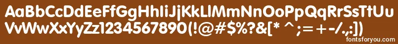VagRoundedBt Font – White Fonts on Brown Background