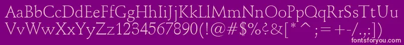 SchneidlerLightBt Font – Pink Fonts on Purple Background