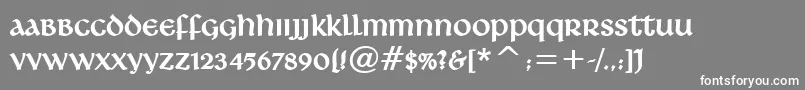 LeoBold Font – White Fonts on Gray Background