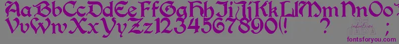 Perrygot Font – Purple Fonts on Gray Background