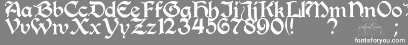 Perrygot Font – White Fonts on Gray Background