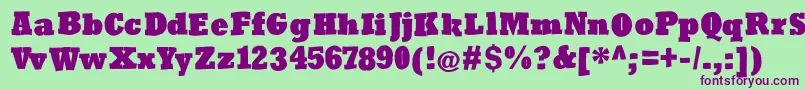 Roughrockys Font – Purple Fonts on Green Background