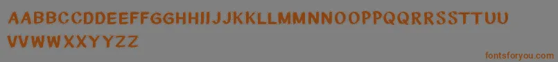 CfnationalstitchesRegular Font – Brown Fonts on Gray Background