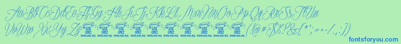 PlatesnaperyPersonaluse Font – Blue Fonts on Green Background