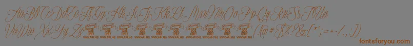 PlatesnaperyPersonaluse Font – Brown Fonts on Gray Background