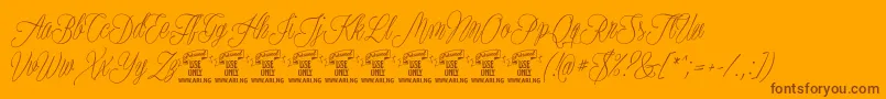 PlatesnaperyPersonaluse Font – Brown Fonts on Orange Background