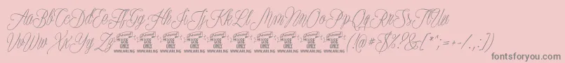 PlatesnaperyPersonaluse Font – Gray Fonts on Pink Background