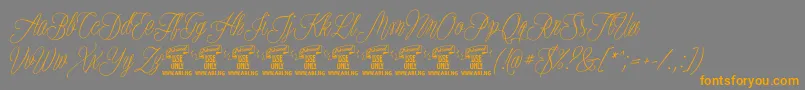 PlatesnaperyPersonaluse Font – Orange Fonts on Gray Background