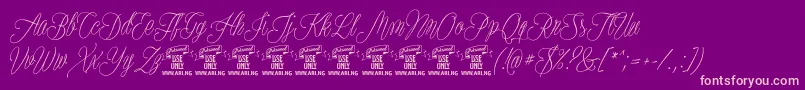 PlatesnaperyPersonaluse Font – Pink Fonts on Purple Background