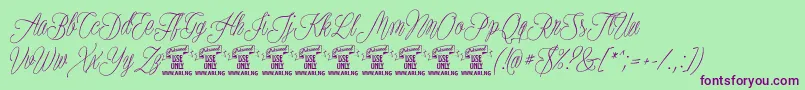 PlatesnaperyPersonaluse Font – Purple Fonts on Green Background