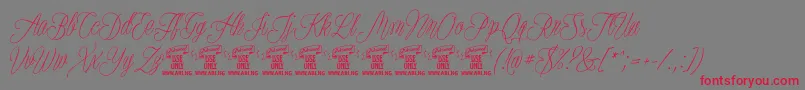 PlatesnaperyPersonaluse Font – Red Fonts on Gray Background