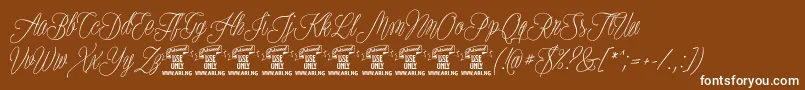 PlatesnaperyPersonaluse Font – White Fonts on Brown Background